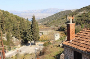 House Toncica